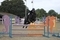 Welsh Home Pony Delivers Thrilling HOYS Qualification Action at Wales & West 